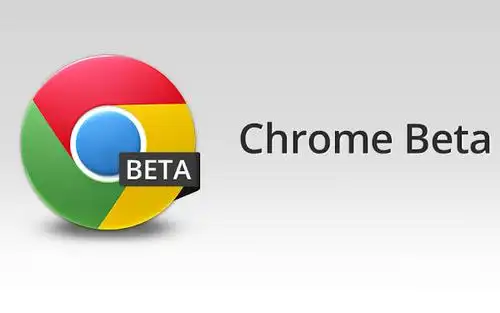 Google Chrome 谷